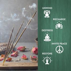 img 3 attached to 🌿 Holistic Healing: HEM Aromatherapy Gift Set for Cleansing & Meditation Incense Sticks - Pack of 6 (20 Sticks Each)