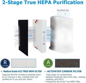 img 2 attached to Flintar HPA200 H13 True HEPA Replacement Filter A/R Combo Pack - Honeywell Air Purifier HPA200 Series Compatible - (2) H13 HEPA Filter R + (4) Activated Carbon Pre-Filter A Included