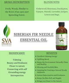 img 3 attached to 🌲 SVA Organics Fir Needle Oil: 4 Oz Pure Natural Oil for Skin, Hair, and Aromatherapy