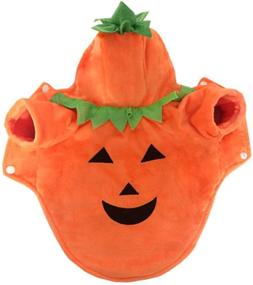 img 1 attached to 🎃 Mogoko Dog Cat Halloween Pumpkin Costume - Cozy Pet Cosplay Outfit for Autumn/Winter (M Size)