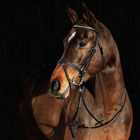 img 3 attached to Horze Spirit Weston Bridle Black