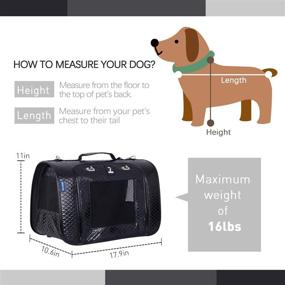 img 1 attached to Petper Pet Carrier: Ideal for Cats, Small Dogs, Kittens, and Puppies. Premium Travel Handbag for Outdoor Adventures, Walking, and Hiking.