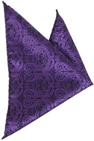 img 1 attached to Epoint C B AQ P 018 Paisley Gentlemen Microfiber Men's Accessories for Ties, Cummerbunds & Pocket Squares