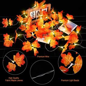 img 2 attached to 🍁 2 Pack Fall Maple Leaves String Lights - 20 Feet 40 LED Battery Powered Fairy Autumn Lights for Holiday Wedding Party Christmas Thanksgiving Garland Decoration - Waterproof Christmas Decoration Lights