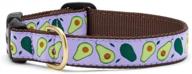 🥑 stylish up country avocado pattern dog collar and leash set - x-large size, 1 inch width logo