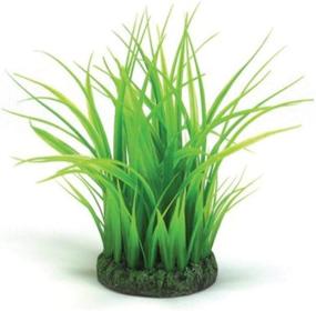 img 4 attached to 🌿 Grass Ring for biOrb Aquariums