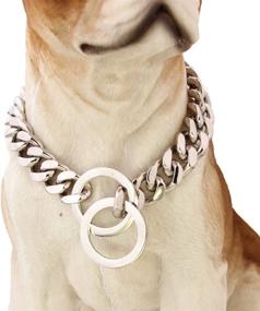 img 2 attached to 🐶 Silver Tone Stainless Steel Curb Cuban Chain Dogs Choker Necklace - 12mm, 12"-36" Length - Fans Jewelry Product