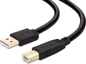 img 4 attached to 🖨️ 10-футовый кабель для принтера, NC XQIN USB-кабель для принтера с разъемом типа A-вилка к типу B-вилка, покрытый золотом, для принтера/сканера.