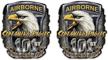 airborne screaming eagles sticker motorcycle logo