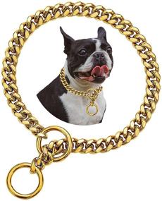 img 4 attached to 🔗 18K Gold Dog Collar with 10mm Thick Cuban Link Chain for Small and Medium Dogs - Durable 316L Stainless Steel, Non-Pinching Design