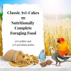 img 3 attached to Nutri-Berries Avi-Cakes - Classic Blend - 20 lb