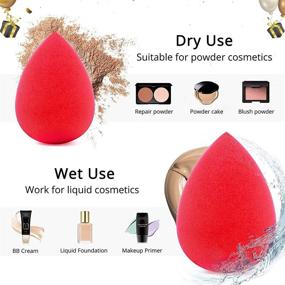 img 1 attached to 🖌️ BEAKEY 5 Pcs Makeup Sponge Set: Flawless Foundation Blending Beauty Sponges for Liquid, Cream, and Powder Makeup - Multi-colored