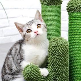 img 1 attached to 🌵 Pawz Road Cactus Cat Scratching Post with 3 Poles and Dangling Ball - Ultimate Cat Scratcher