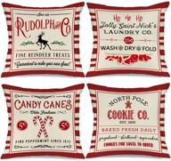 aeney christmas decorations holiday farmhouse bedding logo