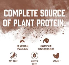 img 2 attached to 🍫 BioSteel Chocolate Plant-Based Protein Powder - Sugar Free, Vegan, Non-GMO Post Workout Formula with 25 Servings