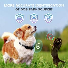 img 2 attached to Rechargeable Dog Bark Collar: Humane, No Pain Barking Control Device for Small, Medium & Large Dogs (B)