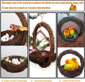 img 2 attached to 🐦 Premium Tfwadmx Bird Breeding Nest: Natural Rattan Swing Toy for Parrot Budgie Parakeet Finch Conure Lovebird Cockatiel - 1 Bird Nest + 1 Coconut Fiber Bundle