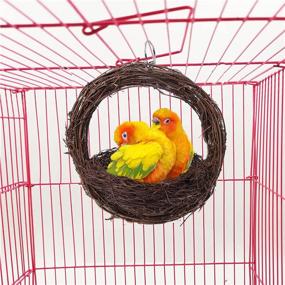 img 1 attached to 🐦 Premium Tfwadmx Bird Breeding Nest: Natural Rattan Swing Toy for Parrot Budgie Parakeet Finch Conure Lovebird Cockatiel - 1 Bird Nest + 1 Coconut Fiber Bundle