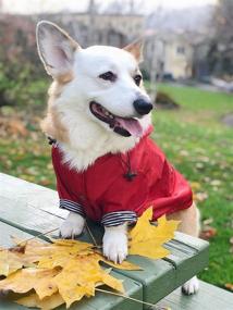 img 1 attached to 🐶 Stylish Premium Dog Raincoats | Ellie Dog Wear Red Zip Up Raincoat with Reflective Buttons, Pockets, Water Resistance, Adjustable Drawstring, Removable Hoodie - Sizes XS to XXL