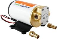 🔋 amarine made 12v scavenge impeller pump - diesel fuel & oil transfer - white shell logo