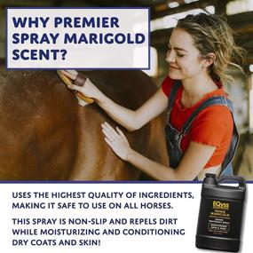 img 2 attached to Eqyss Premier Marigold Scent Equine Spray - Nourishes Skin and Coat