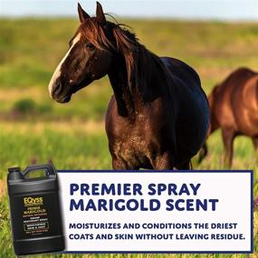 img 3 attached to Eqyss Premier Marigold Scent Equine Spray - Nourishes Skin and Coat