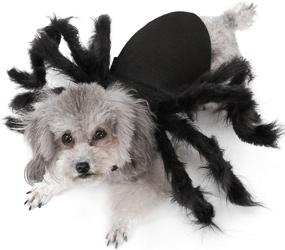 img 1 attached to Rypet Pet Spider Costume - Halloween Spider Costume for Cats and Small to Medium Dogs - Perfect Halloween Party Dress Up, Festival Decoration and Cosplay Pet Costume