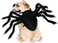 rypet pet spider costume - halloween spider costume for cats and small to medium dogs - perfect halloween party dress up, festival decoration and cosplay pet costume logo