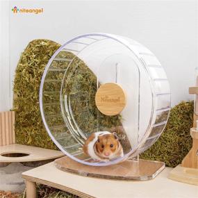 img 3 attached to 🐹 Silent Hamster Exercise Wheels - Ultra-Quiet Spinner Wheels with Adjustable Stand for Hamsters, Gerbils, Mice, and Other Small Animals by Niteangel