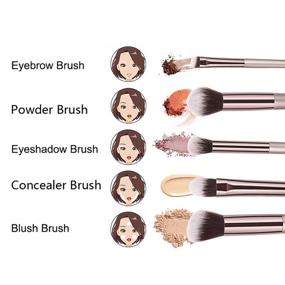 img 2 attached to BBL 4pcs Luxury Champagne Gold Makeup Brush Set: Premium Synthetic Brushes for Flawless Face Application