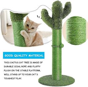 img 2 attached to 🌵 IKUSO Cat Scratching Post: Interactive Cactus Cat Scratcher with Dangling Ball, Natural Sisal Ropes, High Stability, and Robustness - Perfect for Indoor Cats, Cats, and Kittens