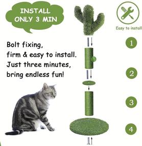 img 3 attached to 🌵 IKUSO Cat Scratching Post: Interactive Cactus Cat Scratcher with Dangling Ball, Natural Sisal Ropes, High Stability, and Robustness - Perfect for Indoor Cats, Cats, and Kittens