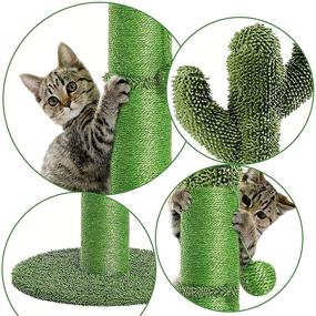 img 1 attached to 🌵 IKUSO Cat Scratching Post: Interactive Cactus Cat Scratcher with Dangling Ball, Natural Sisal Ropes, High Stability, and Robustness - Perfect for Indoor Cats, Cats, and Kittens