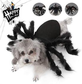 img 4 attached to 🕷️ Halloween Spider Pet Costume: Perfect Cosplay Outfit for Dogs & Cats!