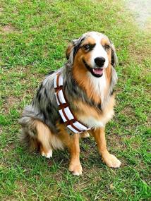 img 2 attached to Furry Star Warrior Dog Halloween Costume - ComfyCamper Utility Belt for Dogs