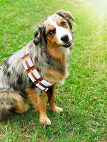 img 3 attached to Furry Star Warrior Dog Halloween Costume - ComfyCamper Utility Belt for Dogs