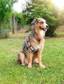 img 1 attached to Furry Star Warrior Dog Halloween Costume - ComfyCamper Utility Belt for Dogs