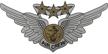 combat aircrew wing decal logo