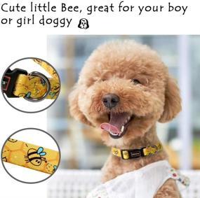 img 2 attached to 🐶 Personalized Adjustable QQPETS Dog Collar: Custom Basic Collars for Comfy Outdoor Training, Walking, Running - Ideal for Puppy Small Medium Large Dogs or Cats