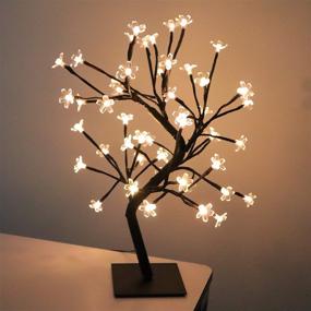 img 4 attached to 🌸 ALULA Cherry Blossom Tree Light: Beautiful Battery Operated Bonsai Tree Decoration (Warm White)