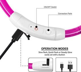 img 2 attached to 🐶 Enhance Dog Safety at Night with USB Rechargeable LED Dog Collar