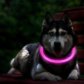 img 3 attached to 🐶 Enhance Dog Safety at Night with USB Rechargeable LED Dog Collar