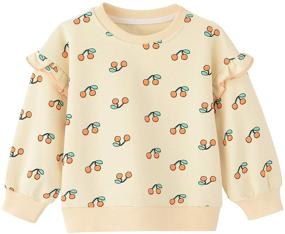 img 4 attached to BINIDUCKLING Sweatshirt Toddler Rainbow Pullover Apparel & Accessories Baby Boys