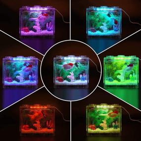 img 1 attached to 🐠 Compact Betta Fish Tank Kit with LED Lighting - Ideal for Reptiles, Goldfish, Shrimp, and More!