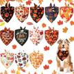 thanksgiving bandanas accessories patterned triangle logo