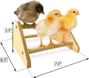 img 3 attached to 🐔 USA-Made Backyard Barnyard Mini Chick Perch - Strong Roosting Bar, Jungle Gym Chicken Toys for Coop & Brooder: El Pollitos La Pollita Pollos Gallinas Polluelos