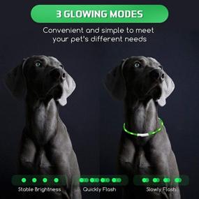 img 1 attached to USB Rechargeable LED Dog Collar - Illuminated Silicone Pet Safety Collar with 3 Glow Modes, Adjustable Fit - Suitable for Small, Medium & Large Dogs - Ideal for Nighttime Visibility