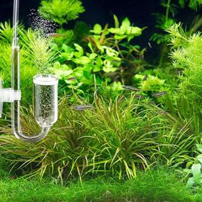 img 2 attached to 🐠 Dannisly CO2 Diffuser U-Shape: Results-Driven Aquarium Fish Tank Pollen Glass CO2 Bubble Diffuser with Air Pump Check Valve for Aquaneat Aquarium Planted