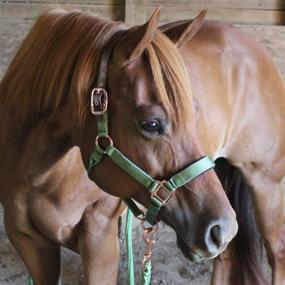 img 1 attached to 🌹 Stay Safe in Style with Derby Originals Rose Gold Reflective Safety Breakaway Horse Halters and Matching Lead