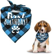 classic checkered bandana triangle birthday logo